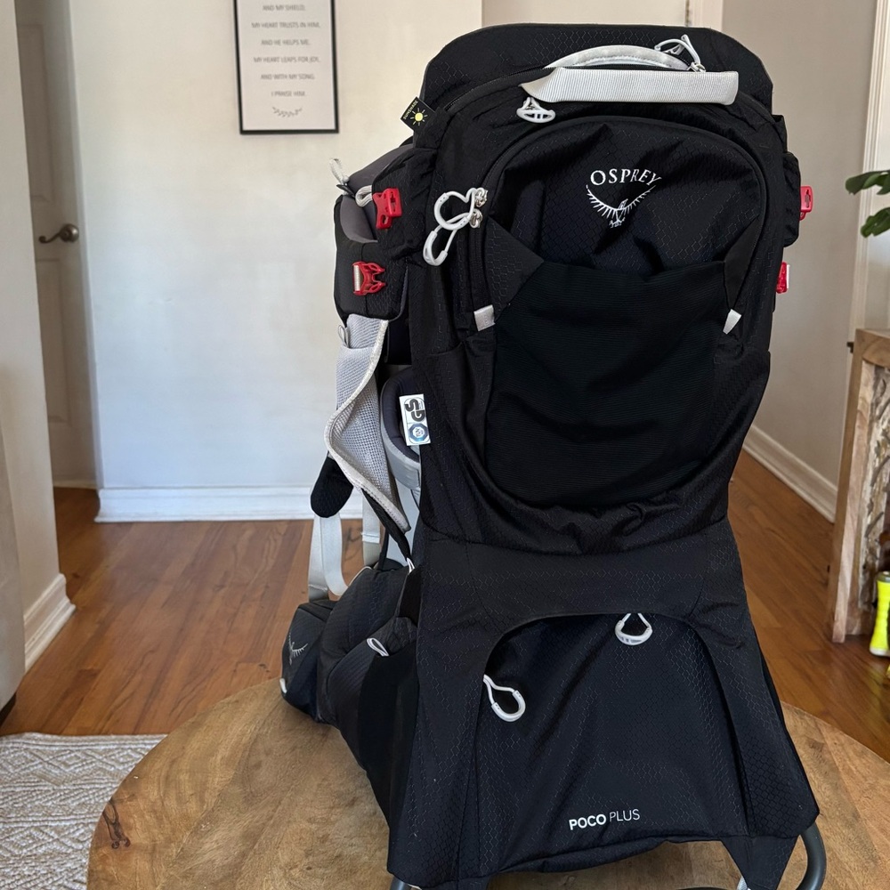 OSPREY Black and Gray Child Carrier